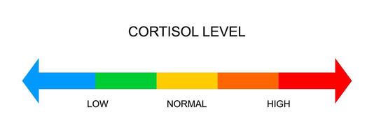 Cortisol meter horizontal scale. Body stress response levels chart from low to high vector