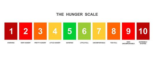 Horizontal hunger scale. Food fullness levels. Ghrelin and leptin balance meter isolated on white background. Appetite regulation infographic for weight loss vector