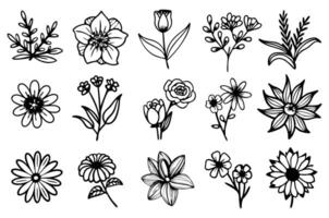Set of hand drawn botanical flower doodle elements for floral design concept vector