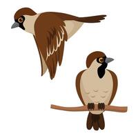 Sparrow bird, set of collection of Birds, Bird animation Steps vector
