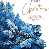 Winter card with holly, pine branches and ferns. Botanical gouache illustration. Blue and red pattern and white background. vector