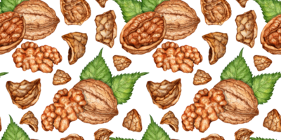 Walnut, whole and chopped with nuts pattern isolated from background. Realistic texture and natural colors of the shell and kernel of the nut. Ideal for cooking, botanical still lifes, packaging png