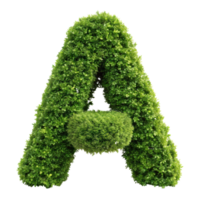 shrubs trimmed into alphabet A isolated on transparent background png