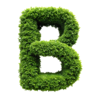shrubs trimmed into alphabet B isolated on transparent background png