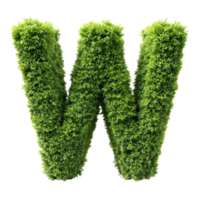 shrubs trimmed into alphabet W isolated on transparent background png