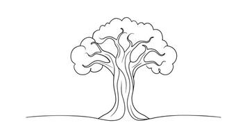 Baobab Tree isolated continuous line art flat illustration on white background vector