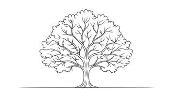 Ash Tree isolated continuous line art flat illustration on white background vector