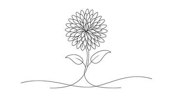 Aster flower isolated continuous line art flat illustration on white background vector