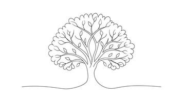 Black Locust Tree isolated continuous line art flat illustration on white background vector