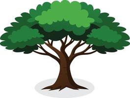 Black Locust tree isolated flat illustration on white background vector