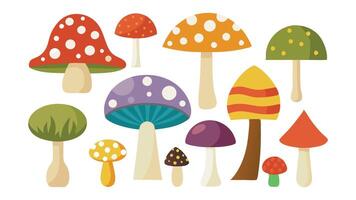 Best collection of various mushrooms illustrated in a style, showcasing their unique shapes and colors flat illustration on white background vector