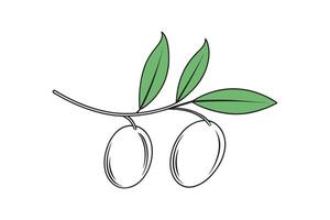 Olive Fruit isolated continuous line art flat illustration on white background vector