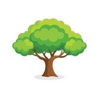 Common Lime tree isolated flat illustration on white background. vector
