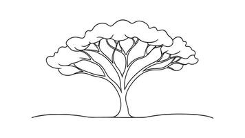 Acacia Tree isolated continuous line art flat illustration on white background. vector