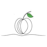 Apricot Fruit isolated continuous line art flat illustration on white background vector