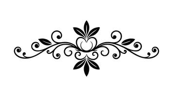 Series of elegant black and white decorative motifs featuring diverse patterns and artistic elements flat set illustration on white background vector