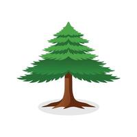 Cedar tree isolated flat illustration on white background vector