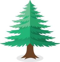 Atlantic White Cedar tree isolated flat illustration on white background vector