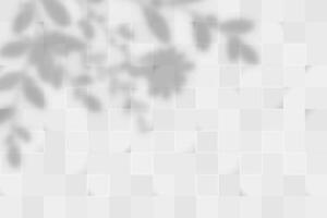 Abstract white background with smooth square texture with floral shadows. Minimalistic design for clean and contemporary visuals. vector