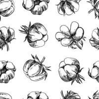 The cotton is organic. Seamless black and white pattern, graphic illustrations in the form of cotton boxes. On a white background. For packaging, textiles, labels and printing. vector