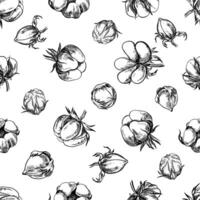 The cotton is organic. Seamless black and white pattern, graphic illustrations in the form of cotton boxes. On a white background. For packaging, textiles, labels and printing. vector