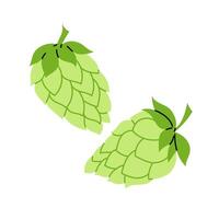 Set hop cone. Ingredient for making beer. A climbing herbaceous plant. Hops. Illustration on a white background. vector
