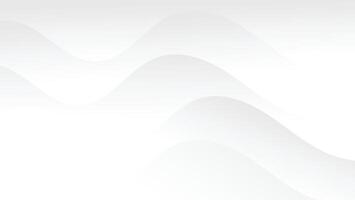 white abstract background with modern curve line vector