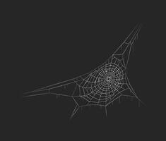 Spiderweb geometric pattern creepy decor realistic icon. Halloween cobweb decoration hanging in corner 3d object illustration on black vector