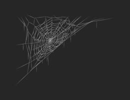 Spider web decoration hanging in darkness realistic icon. Cobweb for spooky and eerie atmosphere 3d object illustration on black background vector