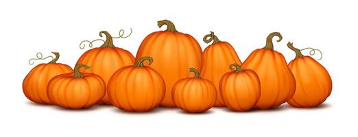 Orange pumpkins with stems realistic color objects composition. Rich harvest of farm vegetables 3d illustration on white background vector