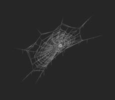 Spiderweb abstract pattern in dark space realistic icon. Arachnid web Halloween decor element 3d object illustration on black background vector