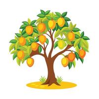 An orange tree with fruit on it vector