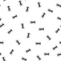 seamless ant trail pattern. Insect control concept. Stock illustration in flat style isolated on white background. vector