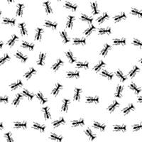 ant trail path seamless pattern. Insect invasion concept. Stock illustration in flat style isolated on white background. vector