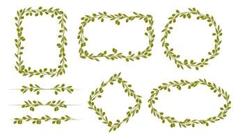 Olive tree branch and leaves frame border lines vector