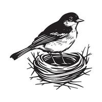 Illustration of a robin sitting in a nest stock image. vector