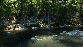 pristine alpine paradise, with a tranquil lake and towering evergreens video