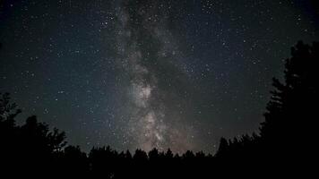Time lapse of A breathtaking view of the Milky Way stretches across the sky as viewers enjoy stargazing in a quiet forest during a summer night, surrounded by tall trees. video