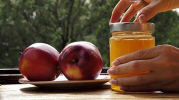 Apples red whole and sliced with a jar of honey on the traditional Jewish holiday of Rosh Hashana on a wooden table by the window on a sunny day. Close-up video