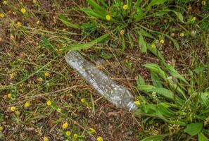 Discarded plastic bottle pollution photo