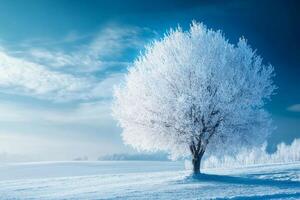 Lonely tree covered by snow standing on a snowy field in winter photo
