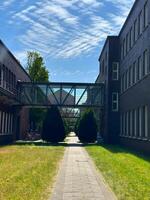 A walkway leads to a building with grass and trees photo