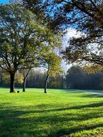A grassy field with trees and a bench photo