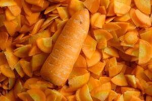 Pile of carrot slices. Daucus carota photo