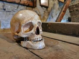 Skull displayed on a rustic wooden table in an old stone structure. Close up view. photo