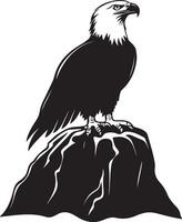 an eagle sitting on top of a rock vector