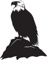 an eagle is sitting on a rock in the middle of the desert vector