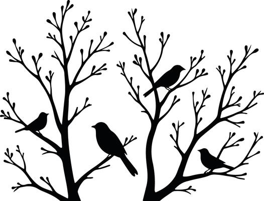 Serenity of Birds on a Branch
