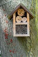 House for insects. A box made of bark, straw and stones. Bricks, cones and bamboo for the insect to settle there. Home for wild bees. Eco friendly do-it-yourself craft. Idea for a garden. DIY photo