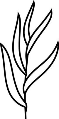 Doodle fern leaf icon Sketch art